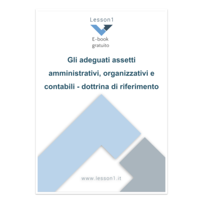 Gli adeguati assetti amministrativi, organizzativi e contabili - dottrina di riferimento